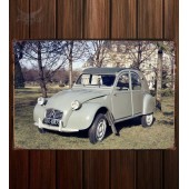 Металлическая табличка Citroen 2CV